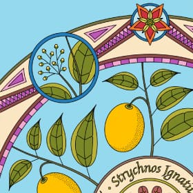 Mandala-Illustrationen für eine Hevert-Broschüre – Bild 2