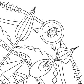 Mandala-Illustrationen für eine Hevert-Broschüre – Bild 3